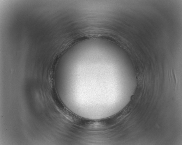X0000062790460200512221136