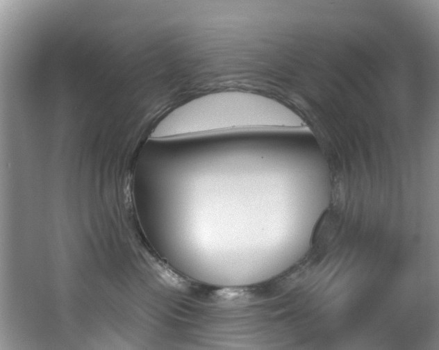 X0000062790477200512221137