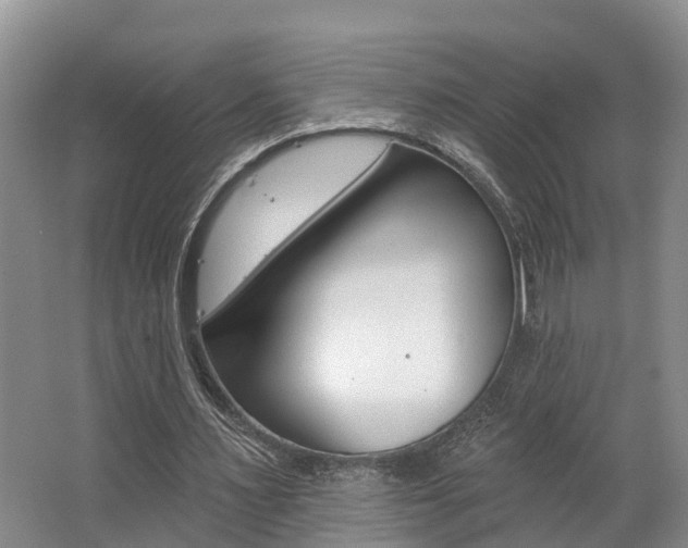 X0000062790483200512221136