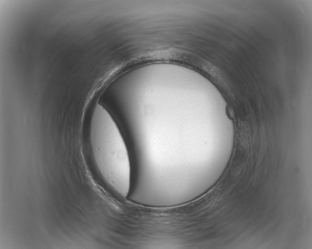 X0000062790486200512221136