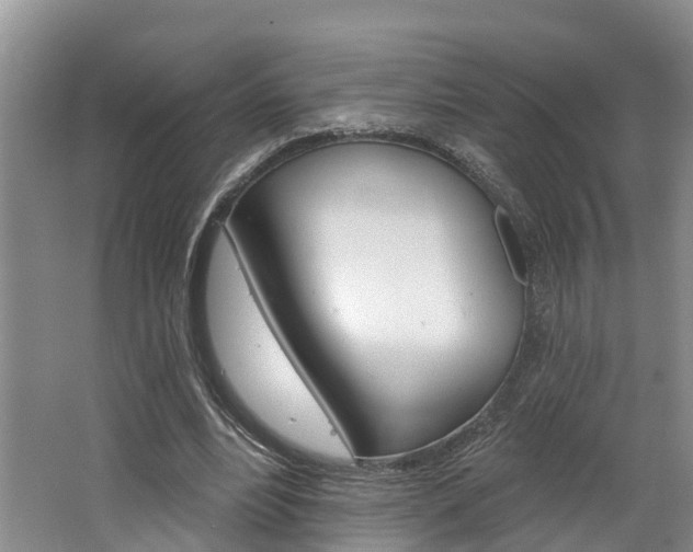 X0000062790488200512221136