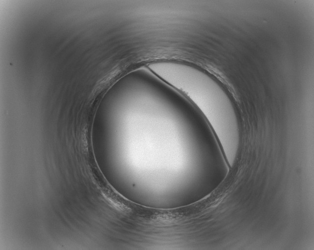 X0000062790489200512221136
