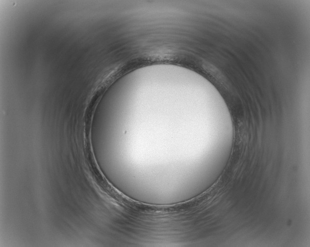 X0000062790494200512221136
