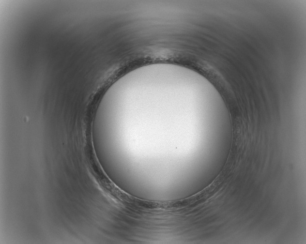 X0000062790496200512221136