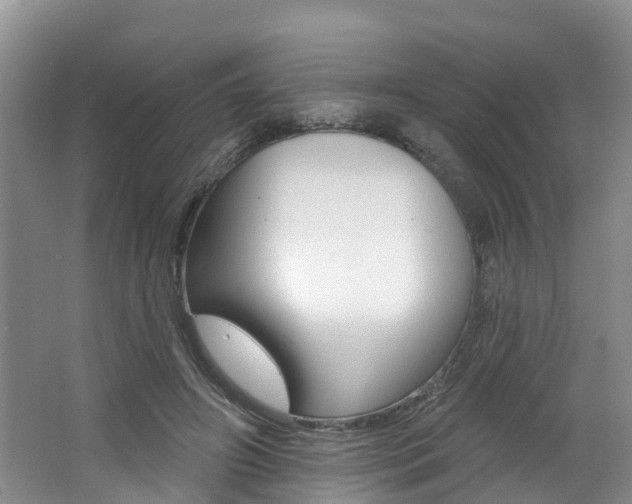 X0000062790498200512221136