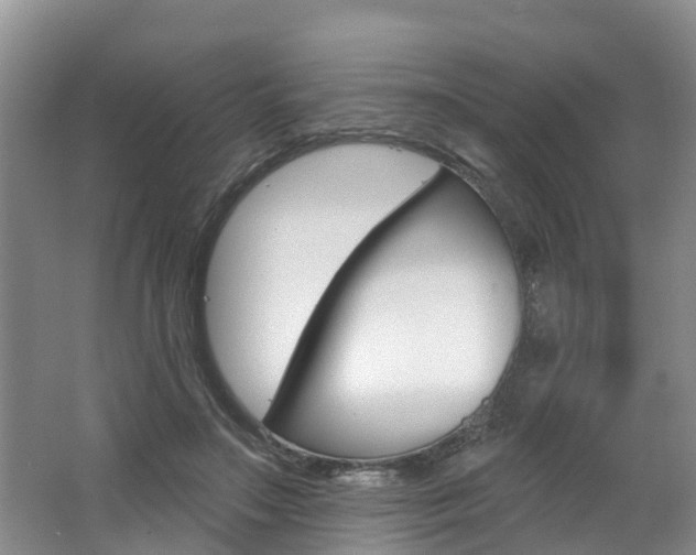 X0000062790499200512221136