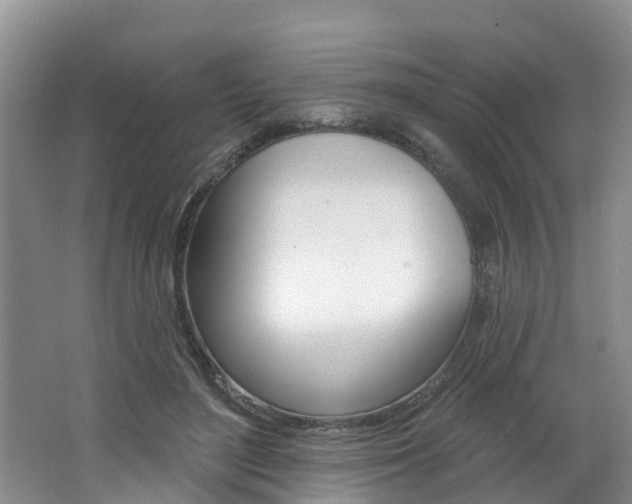 X0000062790500200512221136