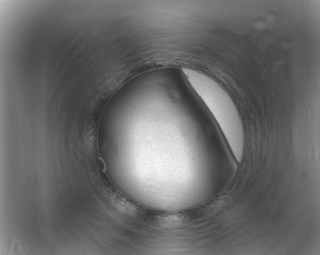 X0000062790513200512221135