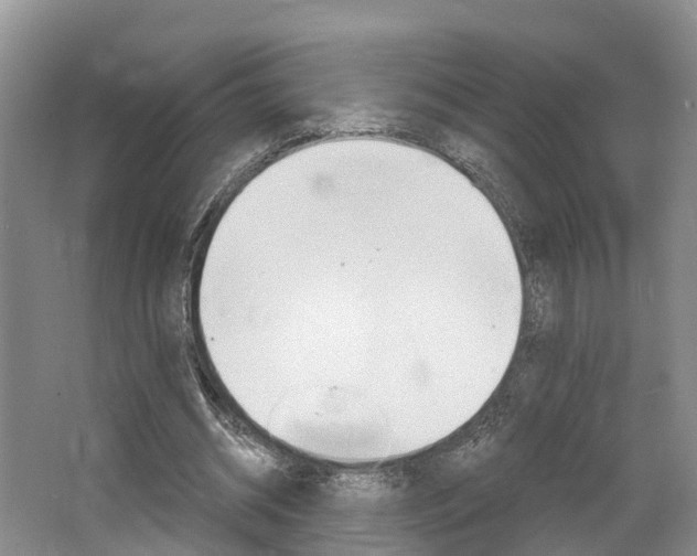 X0000062790534200512221134