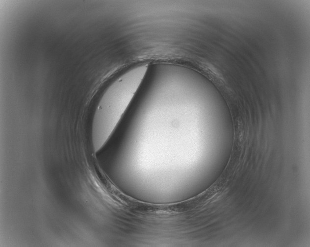 X0000062790542200512221134