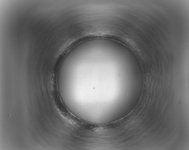 X0000062790544200512221134