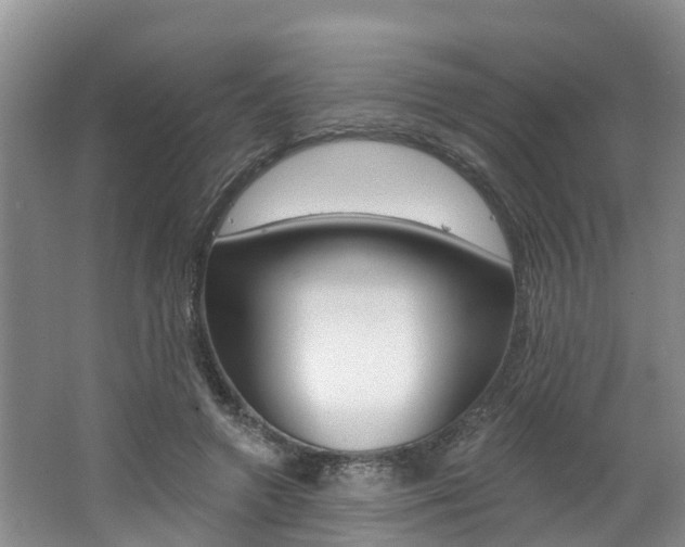 X0000062790546200512221134
