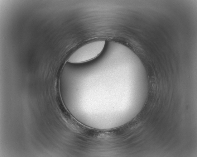X0000062790550200512221135