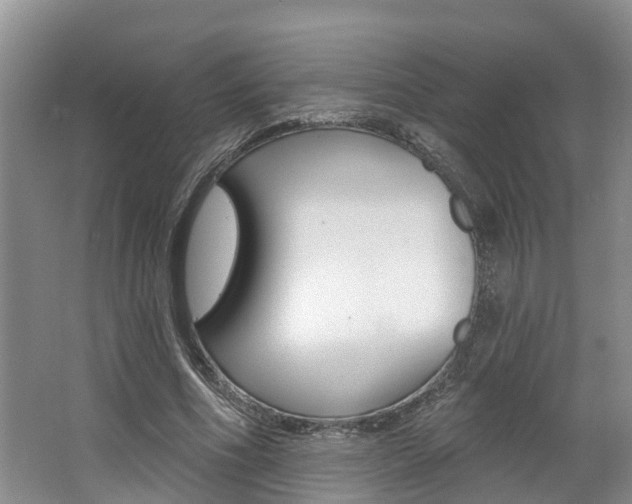 X0000062790586200512221134