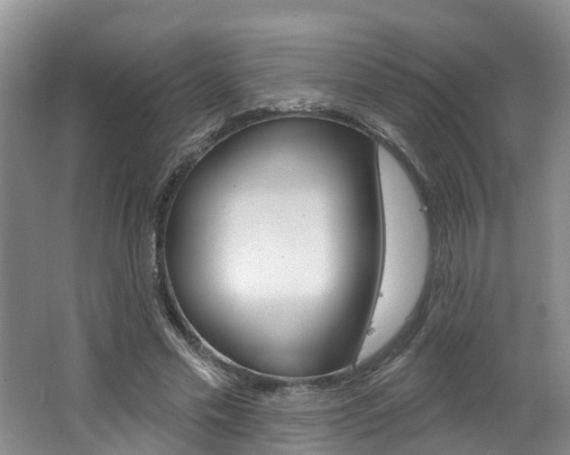 X0000062790589200512221134