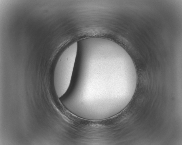 X0000062790590200512221134