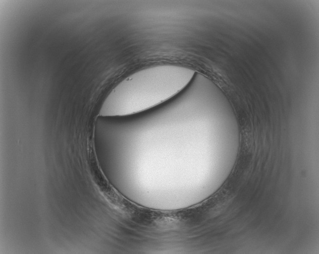 X0000062790594200512221134