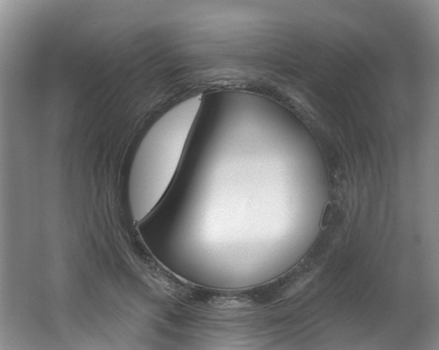 X0000062790597200512221134