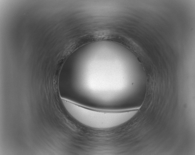X0000062790601200512221134