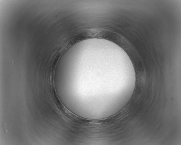 X0000062790602200512221134