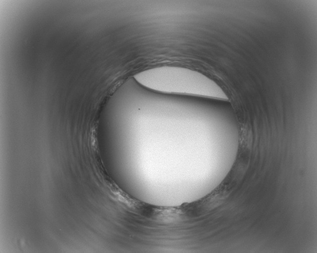 X0000062790621200512221133