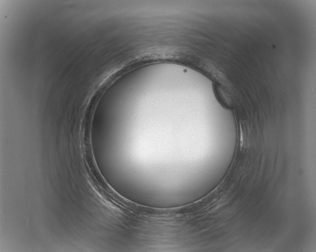 X0000062790627200512221133
