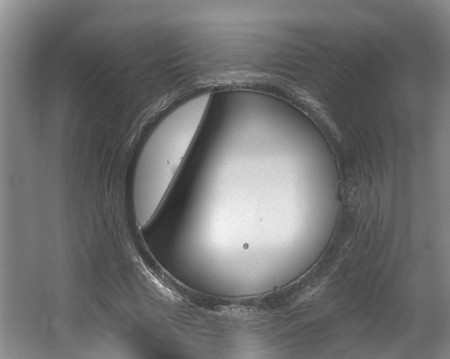 X0000062790633200512221133