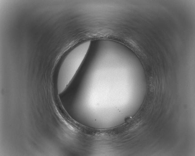 X0000062790634200512221133