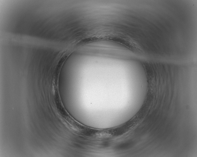 X0000062790644200512221133