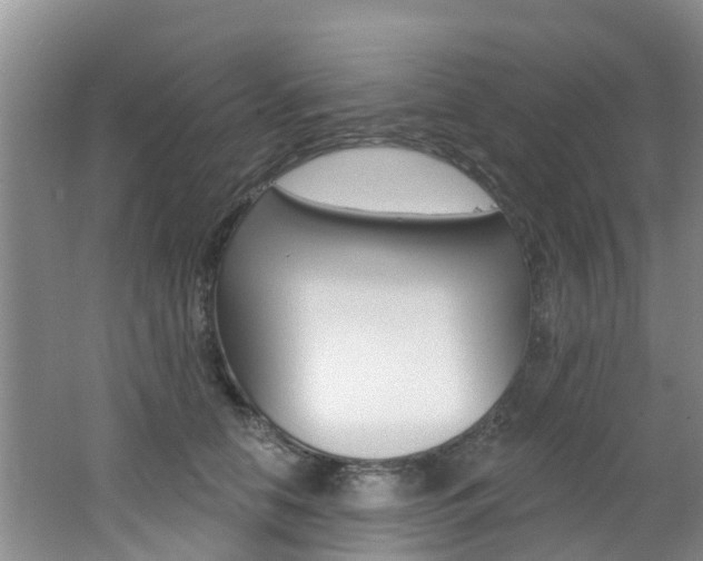 X0000062790658200512221133