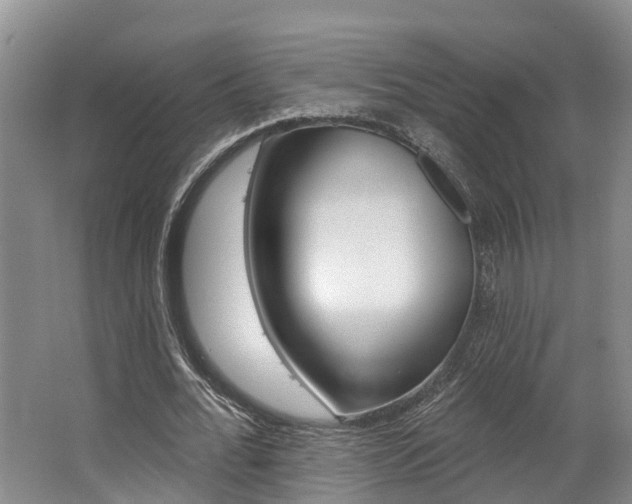 X0000062790676200512221132