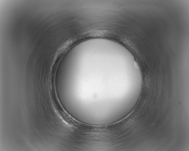 X0000062790682200512221132