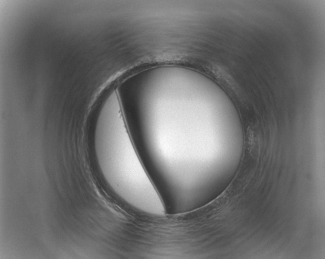 X0000062790684200512221132