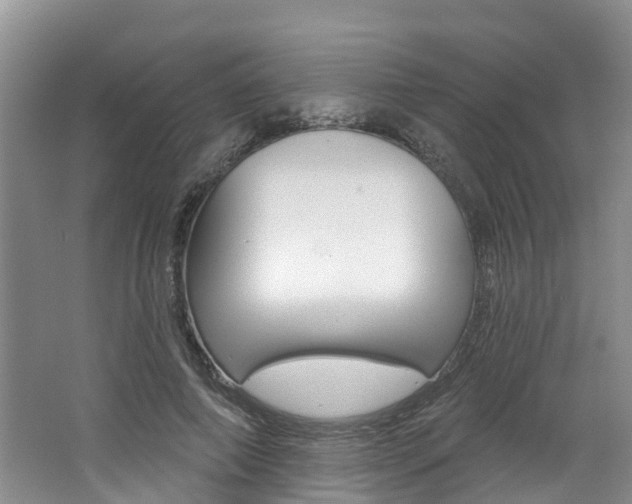 X0000062790690200512221132