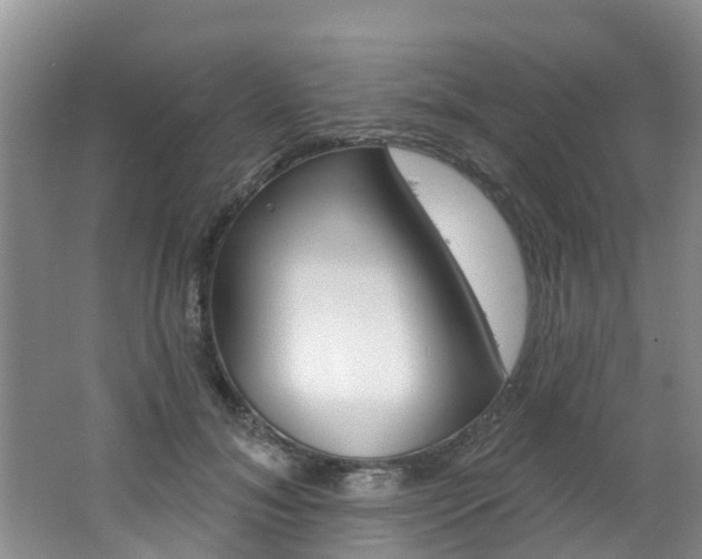 X0000062790700200512221132