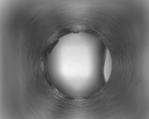 X0000062790716200512221132