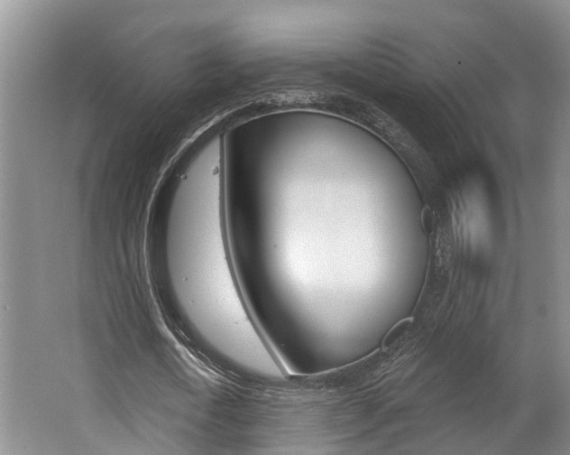 X0000062790722200512221131