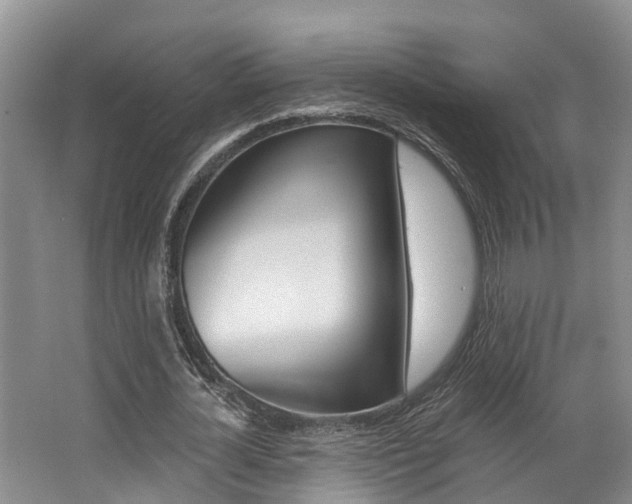 X0000062790724200512221131