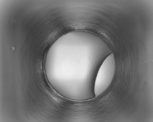 X0000062790733200512221131