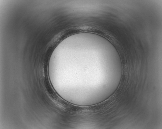X0000062790734200512221131