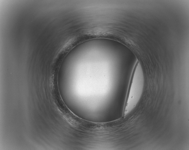 X0000062790735200512221131
