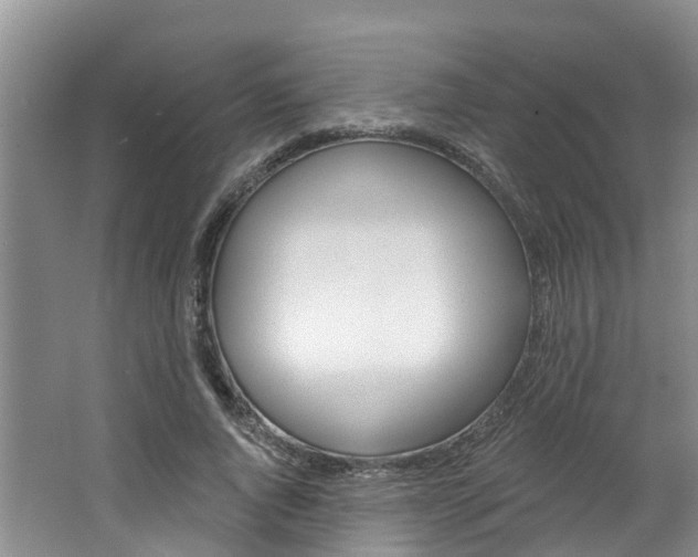 X0000062790736200512221131