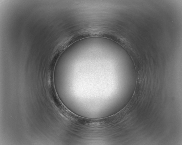 X0000062790740200512221131