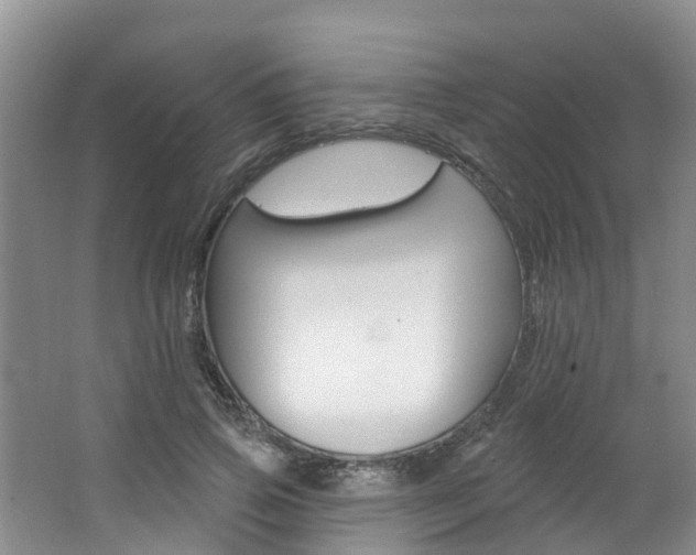 X0000062790741200512221131