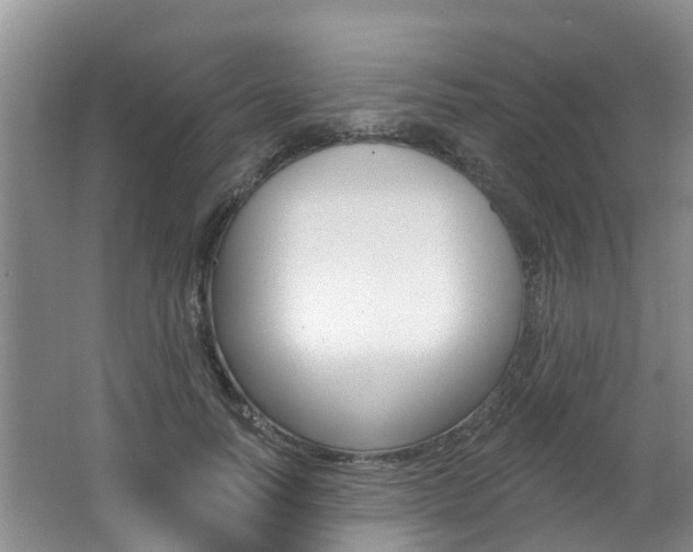 X0000062790746200512221131