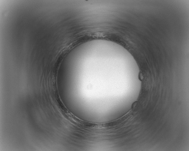 X0000062790747200512221131