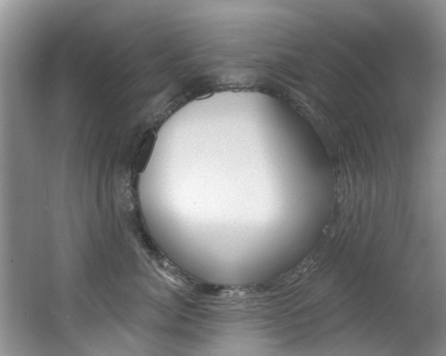 X0000062790764200512221132