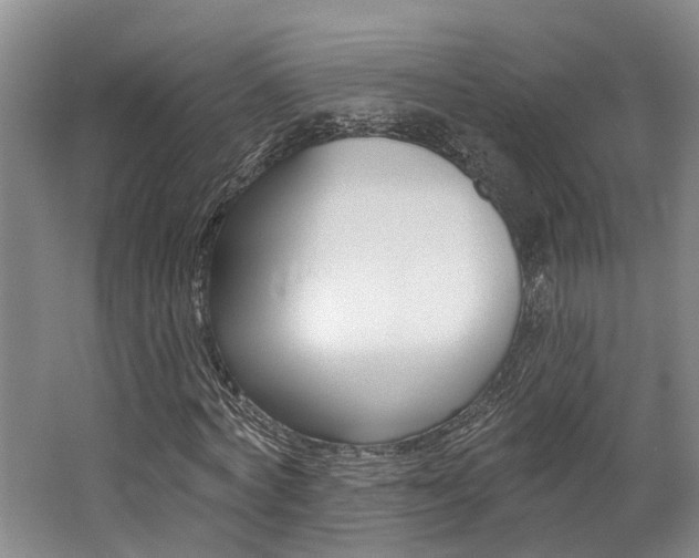 X0000062790772200512221131