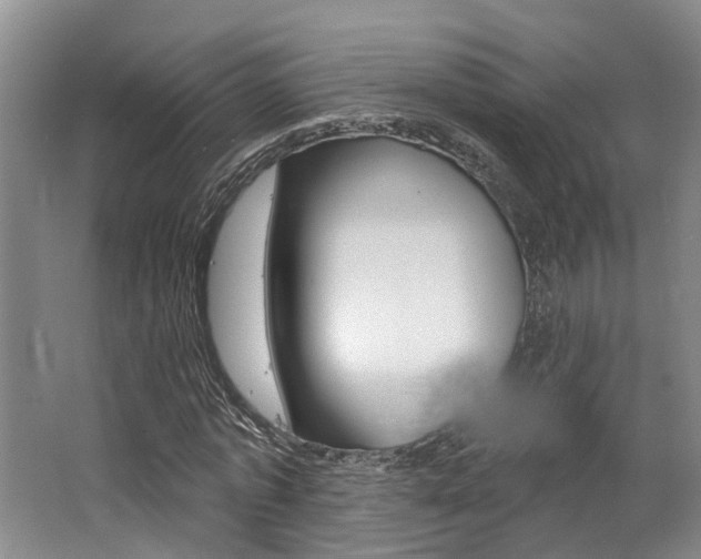 X0000062790773200512221131