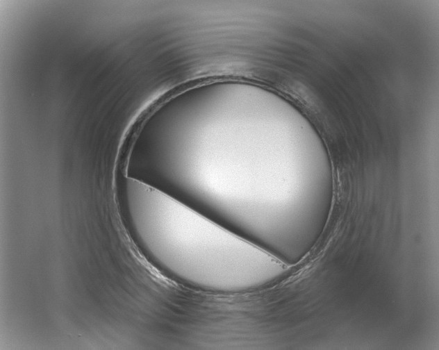 X0000062790780200512221131